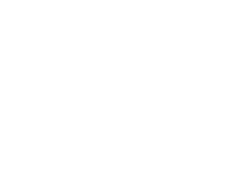 White DSAA logo icon